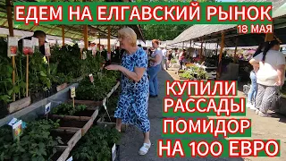 КУПИЛИ РАССАДЫ ПОМИДОР НА 100 ЕВРО ! КАКИЕ ЖЕ ЦЕНЫ НА ЕЛГАВСКОМ РЫНКЕ 18 МАЯ ?