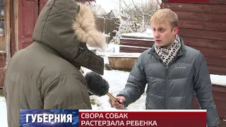 СВОРА СОБАК РАСТЕРЗАЛА РЕБЕНКА