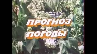 Прогноз погоды  27.05.1990