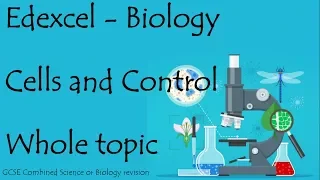 The whole of Edexcel CELLS and CONTROL. GCSE 9-1 biology or combined science revision