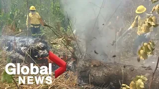 Firefighters tackle fires continuing to burn in devastated Amazon rainforest