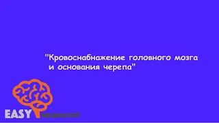 Нейрохирургический цикл. "Кровоснабжение головного мозга и основания черепа"