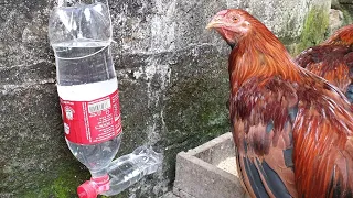 how to make automatic drinking water trough for chickens from discarded bottles