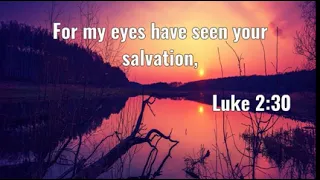 Luke 2:30: For my eyes have seen your salvation,...