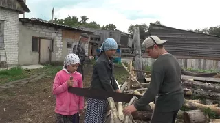 Где тут овцы, где тут бараны – сразу и не разберёшься.  03. 07. 2017