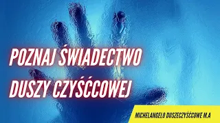 POZNAJ ŚWIADECTWO DUSZY CZYŚĆCOWEJ @michelangeloduszeczysccowem.a