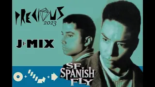 Spanish Fly - Precious (Jay Mix 2023 Short Version)