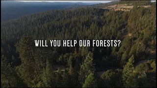 Launching a Campaign to plant 50 Million Trees For Our Forests