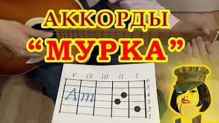 МУРКА | Аккорды | Гитарный бой | Разбор на гитаре видео урок для начинающих