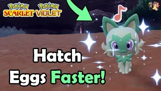 How To Breed & Hatch Eggs FASTER In Pokémon Scarlet & Violet! | Simple & Easy Guide For Beginners