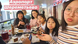 ВЛОГ Провожаем РОДСТВЕННИКОВ В КОРЕЮ! В аэропорту ШЕРЕМЕТЬЕВО Москва/15.02.20