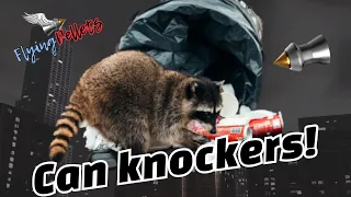 Can knocker’s/ FX impact M3