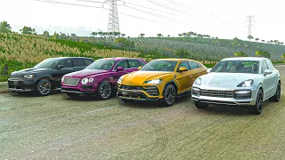 Lamborghini Urus vs Jeep Trackhawk vs Bentley Bentayga vs Porsche Cayenne Turbo | Forza Horizon 5