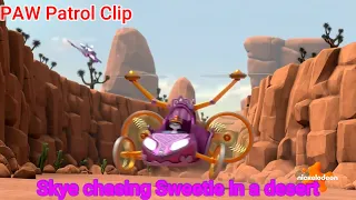 PAW Patrol Clip | Skye chasing Sweetie in a desert