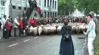 Reuzenstoet Maastricht  2010 - kudde schapen