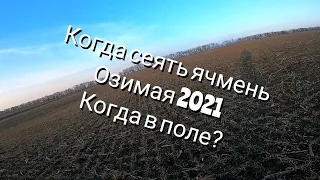 Когда сеять ячмень? Озимая 2021. О, том ,о сем.