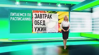 Программа "Здравствуйте". Правильное питание: пошаговая инструкция - 12/07/20