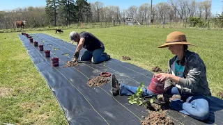 It was a BERRY Long Day!