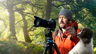 Forest Photography with Nigel Danson