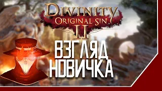 Взгляд новичка|Divinity Original Sin 2