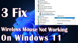 Wireless Mouse Not Working In Windows 11 - 3 Fix How To