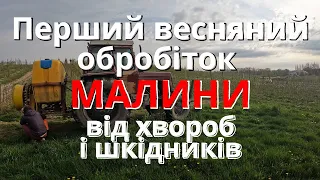 Догляд за малиною Перше весняне окроплення Чим обробити малину від хвороб і шкідників Медяна Екстра