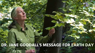 Dr. Jane Goodall's Message for Earth Day 2022