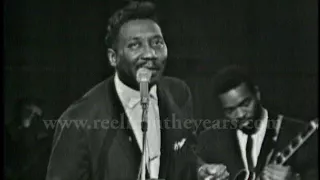 Muddy Waters- "Got My Mojo Working" Live 1963 (Reelin' In The Years Archive)