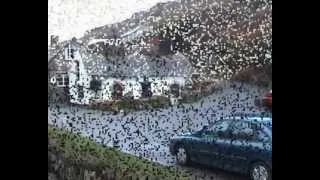 Boscastle, Cornwall before the 2004 flood