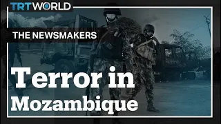 Why is Daesh terrorising Mozambique?