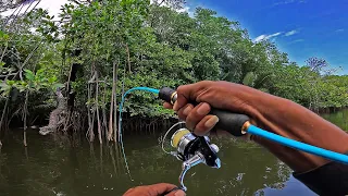 ikan penunggu akar pohon bakau bikin joran cenat cenut