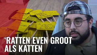 Bewoners Kolenkitbuurt voeren actie tegen rattenplaag