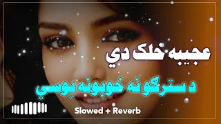 Ajeeba Khalaq Di Da Stargo Na Khobona Yosi 😘 | Pashto Slowed And Reverb Song | Zaman Zaheer