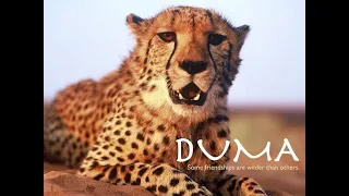 Duma, pelicula completa en español latino