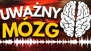 Muzyka do GŁĘBOKIEJ KONCENTRACJI⚡Skup uwagę w czasie nauki, pracy i czytania 💡