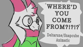 "WHERE'D YOU COME FROM?!?" [Deltarune/Snapcube Animatic]