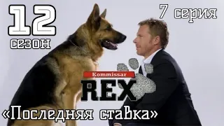 Комиссар Рекс, 12 сезон, 7 серия «Последняя ставка»