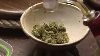 Still more questions than answers on NJ marijuana industry