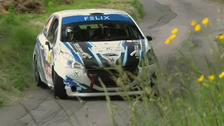 Rallye du Chablais 2021: Highlights