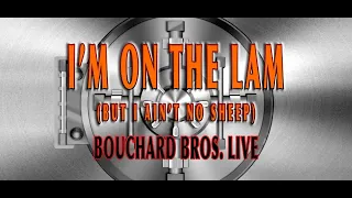 I'm on the Lam But I Ain't No Sheep Live BLUE OYSTER CULT cover  Bouchard Bros.