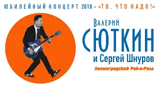 Валерий Сюткин / Сергей Шнуров — "Ленинградский рок-н-ролл" (LIVE, 2018)