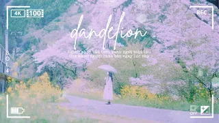 vietsub | lyrics • Dandelion • BOL4