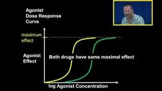 Efficacy vs Potency