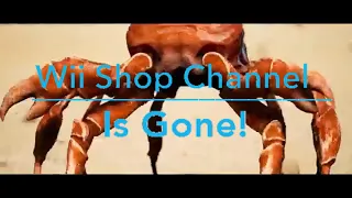 crab rave but the wii shop channel is gone