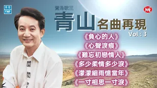 【老歌名曲精粹】青山 Qing Shan《負心的人》《心聲淚痕》《難忘初戀情人》《多少柔情多少淚》《濛濛細雨憶當年》《一寸相思一寸淚》Oldies 70's VOL.3 (歌詞版)