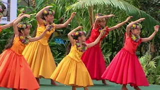 第11回フラ・ホオラウナ・アロハ2012 グループ・ケイキ優勝 Leialoha Hula Studio