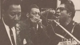 Little Walter-Back Track