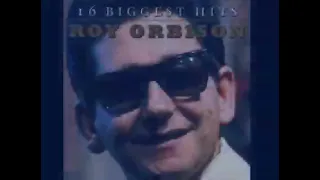 Roy Orbison: There Won't Be Many Coming Home (Lyrics)