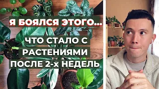 Я Уезжаю » Как оставить Комнатные Растения? » Инструкция для ЦветоНяни