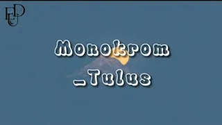 Monokrom - Tulus Lirik Lagu